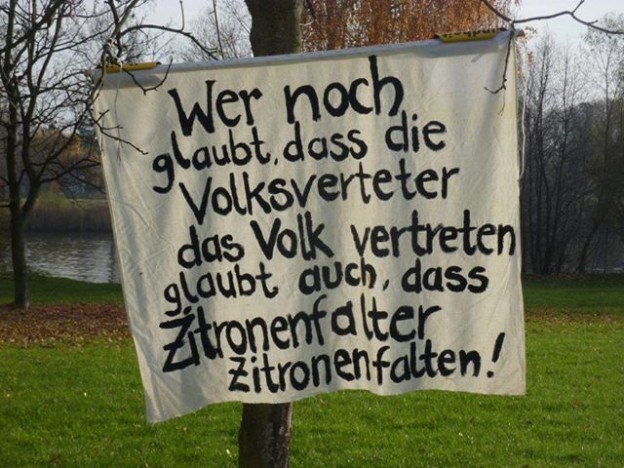 Volksvertreter Zitronenfalter