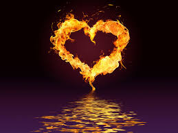 images (6)