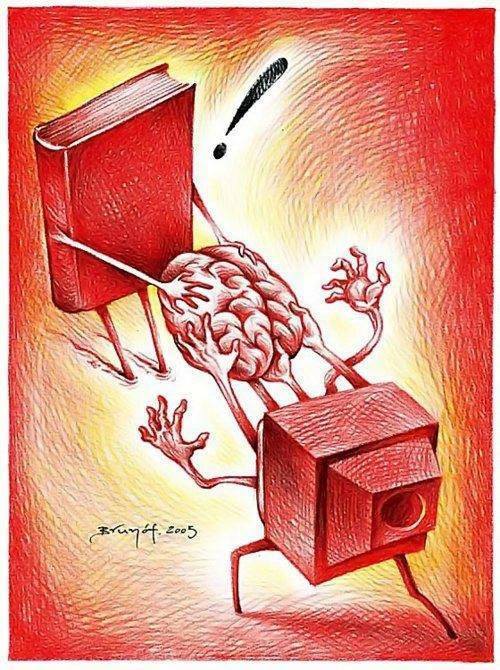 TV buch