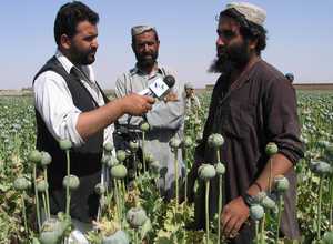 Opium-Afghanistan